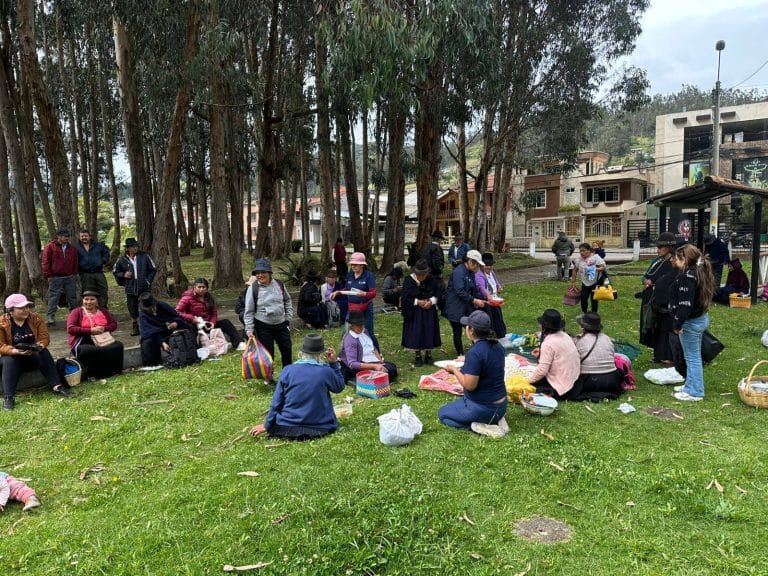 Proyectos en convenio con MIES